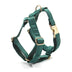 Green Velvet Dog Collar Dog Leash Pet Collar - Minihomy