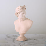 Venus Character Artwork Resin Sculpture: Bring Luck and Elegance to Your Space