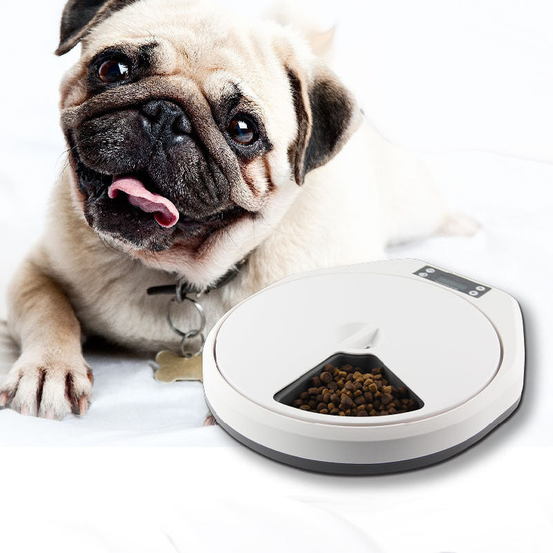 Pet Automatic Multi-grid Feeder Cat And Dog Intelligent Timing Bowl