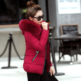 Korean Style Hooded Down Padded Jacket All-Match Small Cotton Jacket