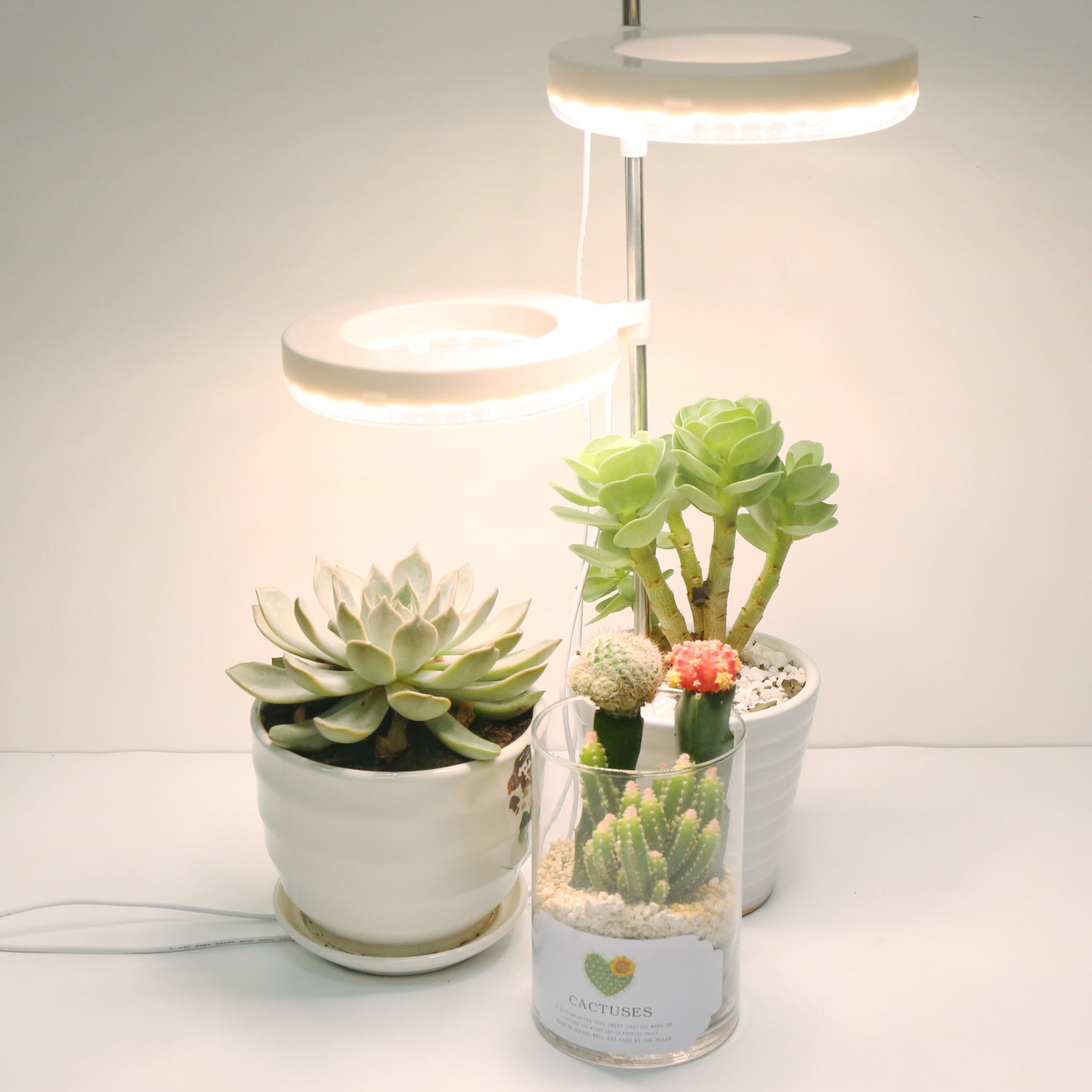 Grow Light for Plants & Desk - Home Office Lamp