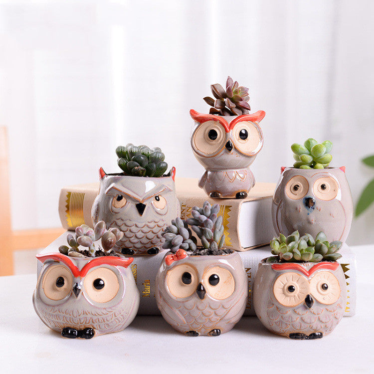 Stylish Owl Ceramic Mini Succulent Planter