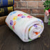 Pet Warm Double-Sided Cozy Blanket - Minihomy