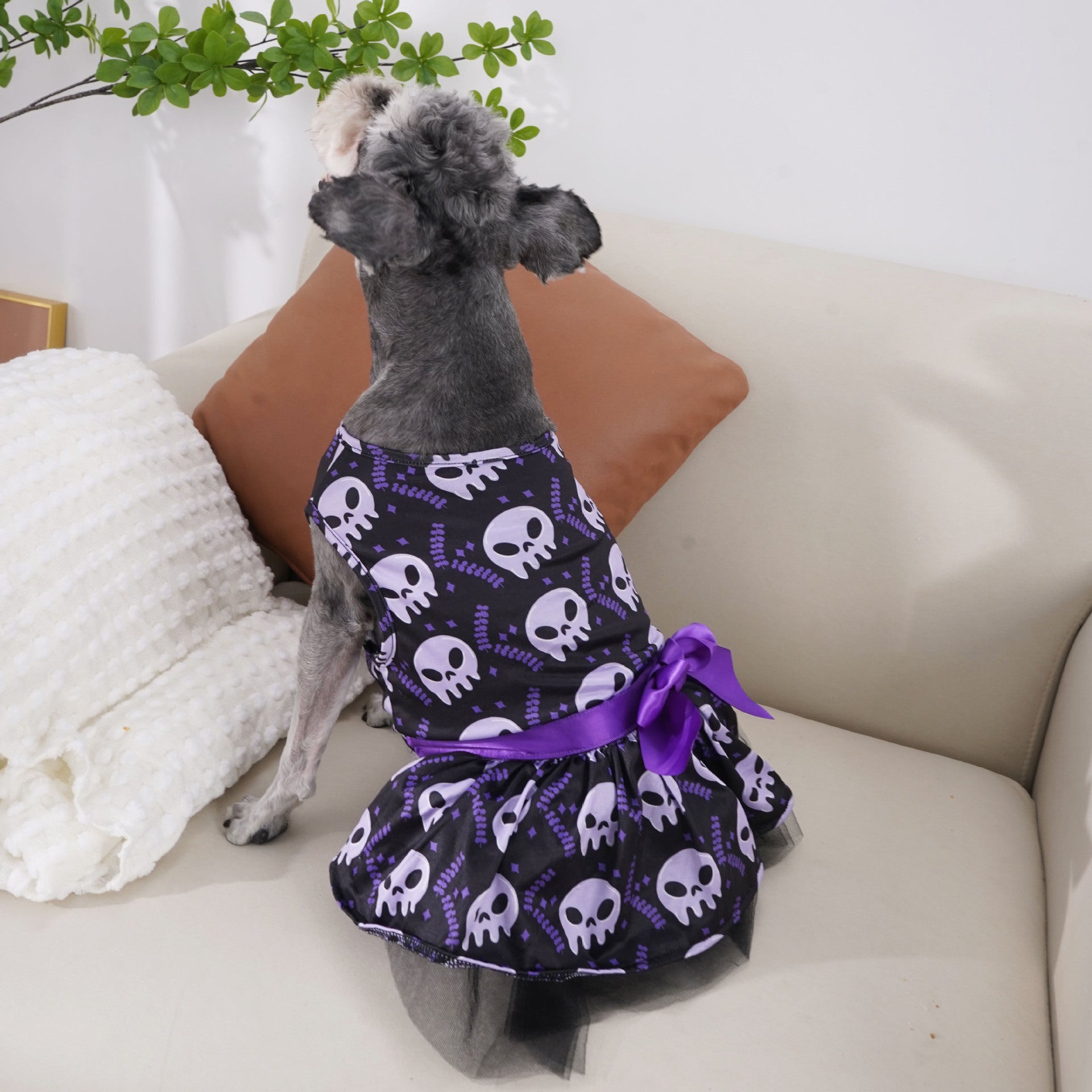 Pet Dog Halloween Clothes - Minihomy