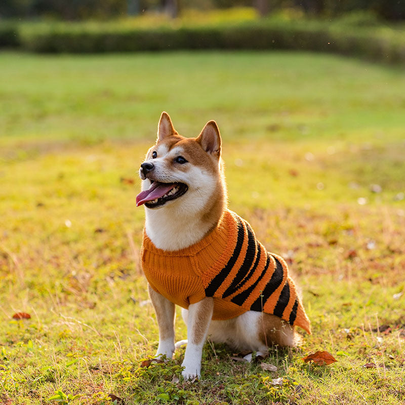 Halloween Dog Sweaters Pet Costume Teddy Warm Leisure Sweater - Minihomy