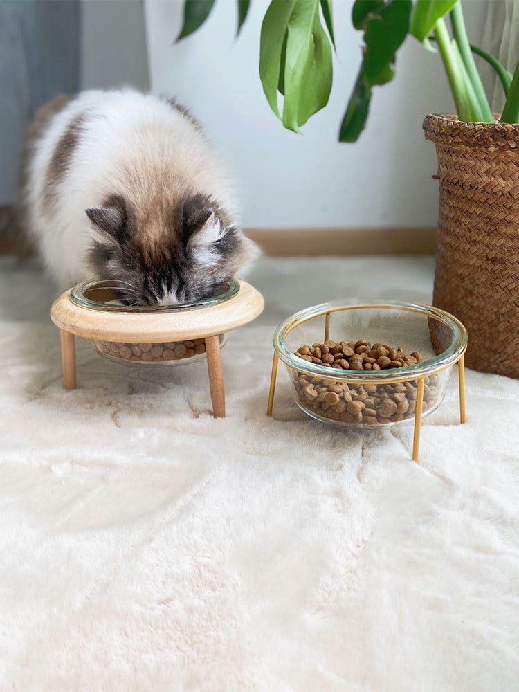 Ceramic Cat Bowl - Elevated Pet Water & Food Dish for Cats - Minihomy