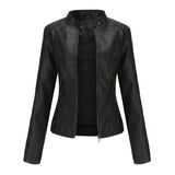 Biker Oversized Stand Collar Jacket