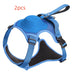 Explosion-Proof Dog Collar Harness with Retractable Leash - Safe and Adjustable - Minihomy