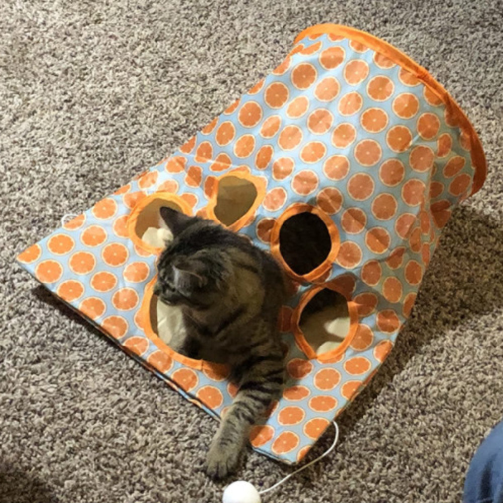 Cat Diamond Bag Toy