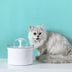 Pet Dog Cat Water Fountain - Electric Automatic Water Dispenser with LED Water Level Display - Minihomy