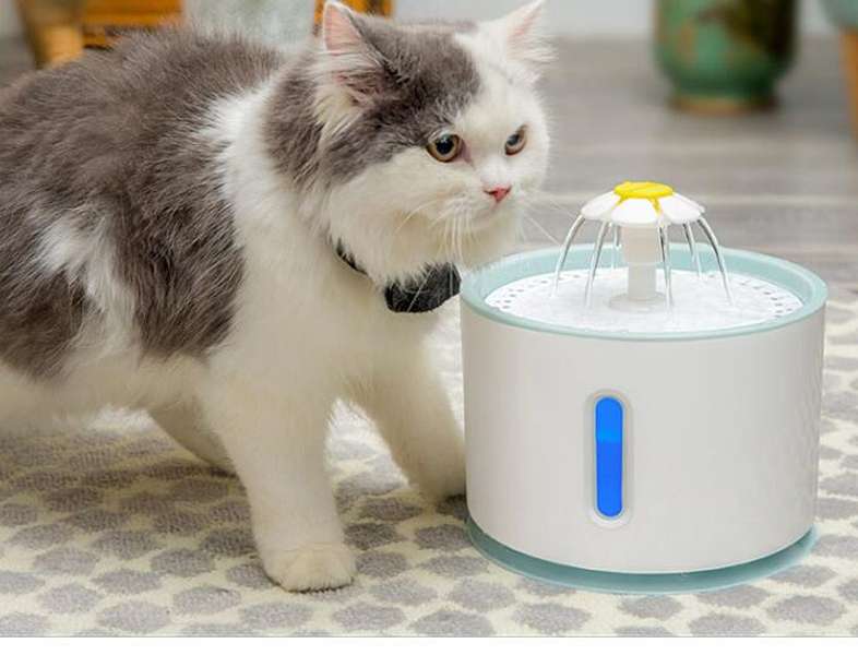 Automatic Pet Fountain with Filter - Minihomy