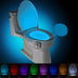 Toilet Induction LED Night Light