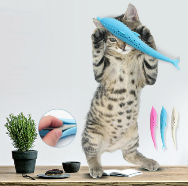 Cat Toothbrush Toy - Minihomy