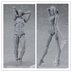 Human Body Model Body  Doll Movable Painting Art Men And Women - Minihomy