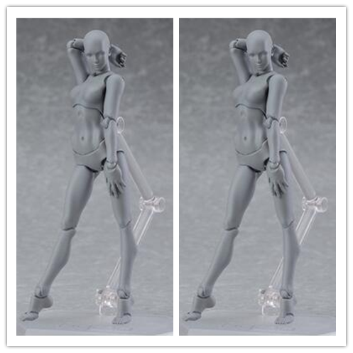 Human Body Model Body  Doll Movable Painting Art Men And Women - Minihomy