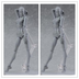 Human Body Model Body  Doll Movable Painting Art Men And Women - Minihomy