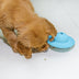 Pets Biting Toys Multi-function Leaking Device Flying Disk - Minihomy