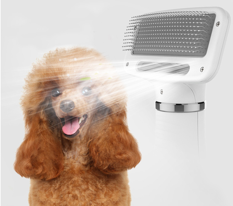 Pet Hair Comb All-in-one Hair Dryer - Minihomy