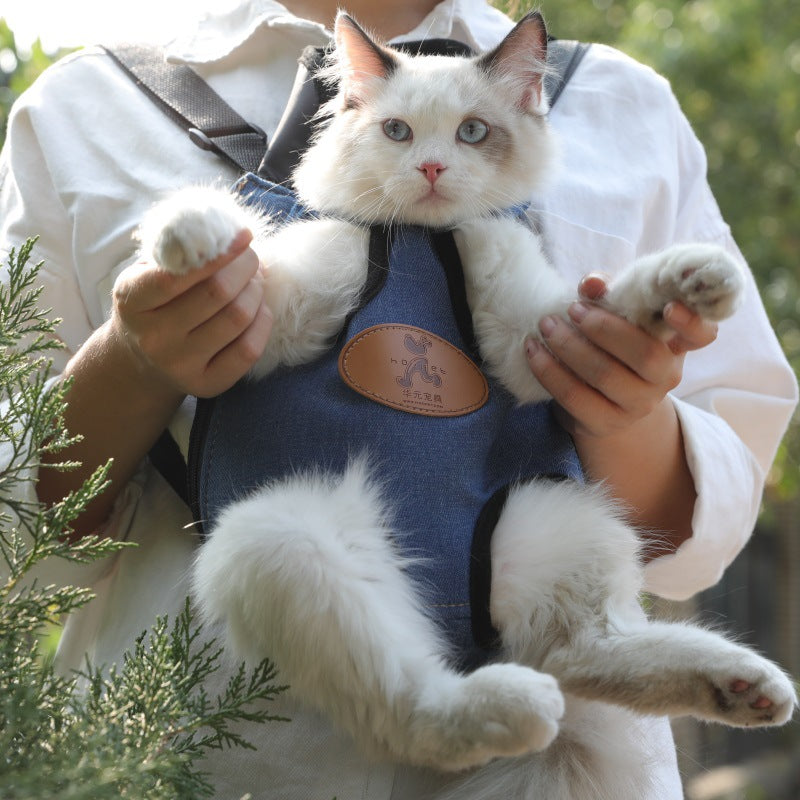 Portable cat backpack for spring outing - Minihomy