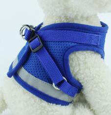 Dog Harness And Leash Set - Minihomy