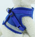 Dog Harness And Leash Set - Minihomy