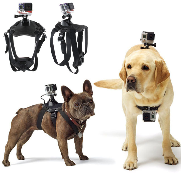 GoPro Hero Dog Strap Belt Harness - Minihomy