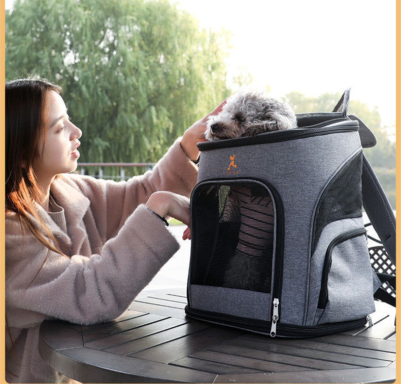 Cat Bag Go Out Portable Large-capacity Two Backpacks Space Cat Pet Supplies - Minihomy