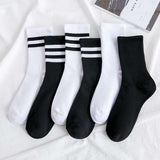 White Cotton Tube Socks - Comfort Meets Style