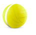 Smart Pet Accompany Cats And Dogs Universal Toy Spilled Ball