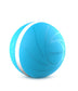 Smart Pet Accompany Cats And Dogs Universal Toy Spilled Ball