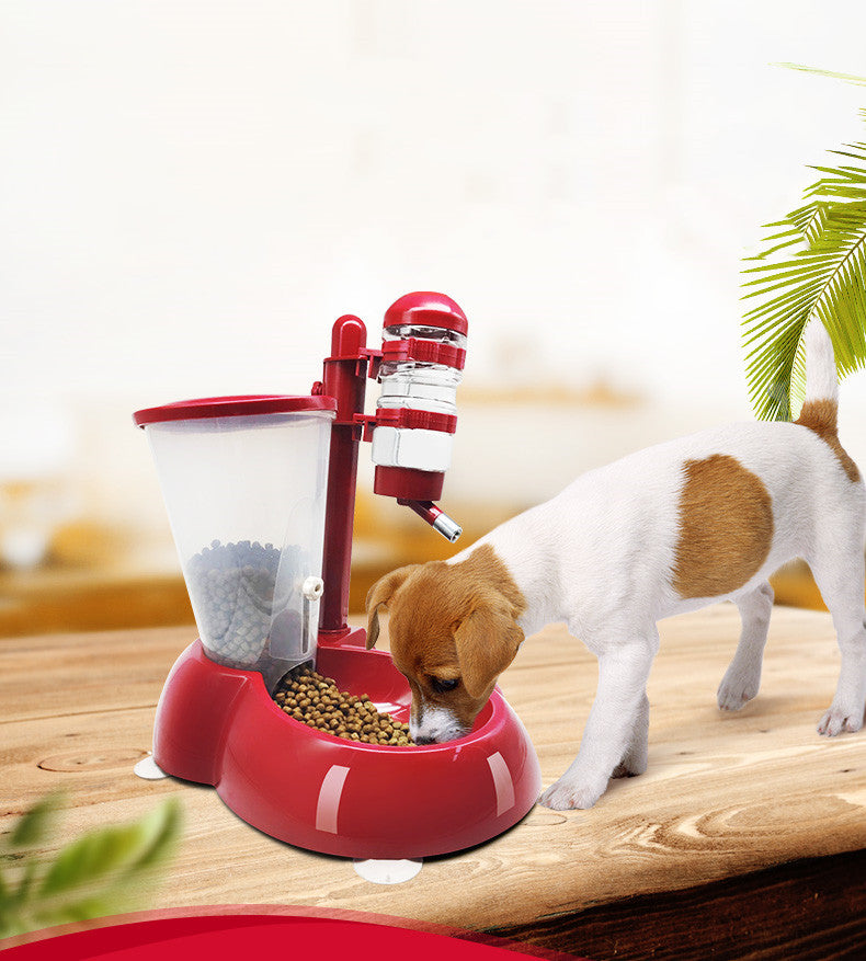 Dog automatic feeder water dispenser