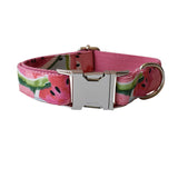 Pet Supplies Dog Collar Pet Leash - Minihomy