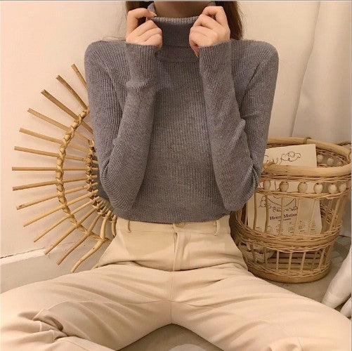 High Collar Warm Long Sleeve Sweater Women