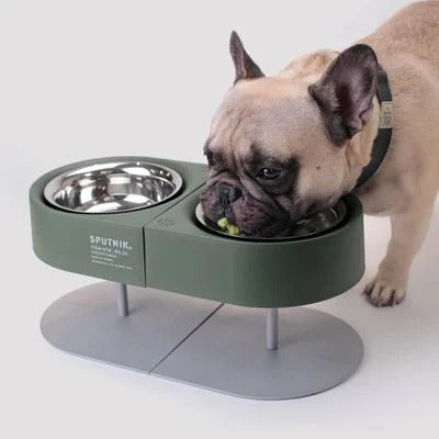 Pet cat and dog camping bowl