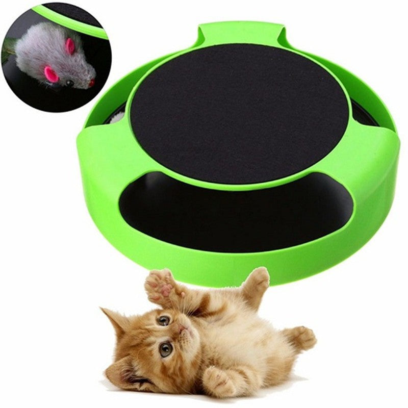 Cat Catch The Ultimate Cat Toy