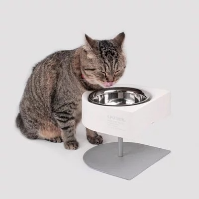 Pet cat and dog camping bowl