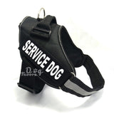 Dog chest strap - Minihomy