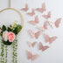 3d Three-dimensional Butterfly Wall Sticker Wall Decoration Sticker - Minihomy