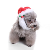 Pet Christmas Hat Bib - Minihomy