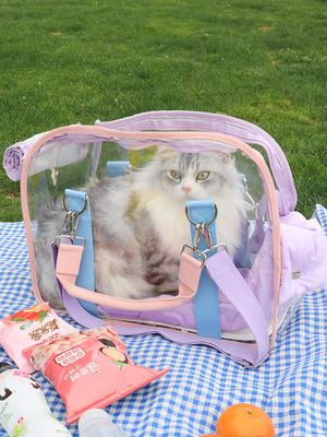 Portable Space Capsule Cat Backpack Portable Pet Bag