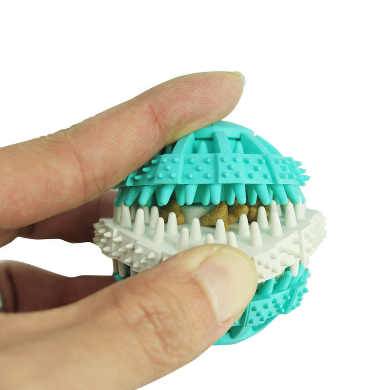 Dog molar toy - Minihomy