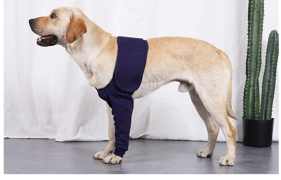 Anti-Licking Sleeve for Postoperative Recovery of Dog Legs - Pet - Minihomy