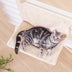 Cat Hanging Bed Nest Is Removable And Washable