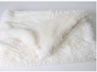 Pet Dog Cat Blankets - Minihomy