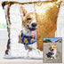 Sequins Throw Pillowcase with Custom Photo - Minihomy