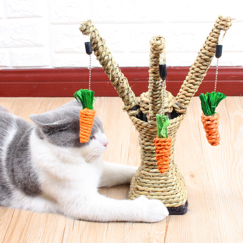 Kitten Claw Plate Molar Toy Vertical - Minihomy