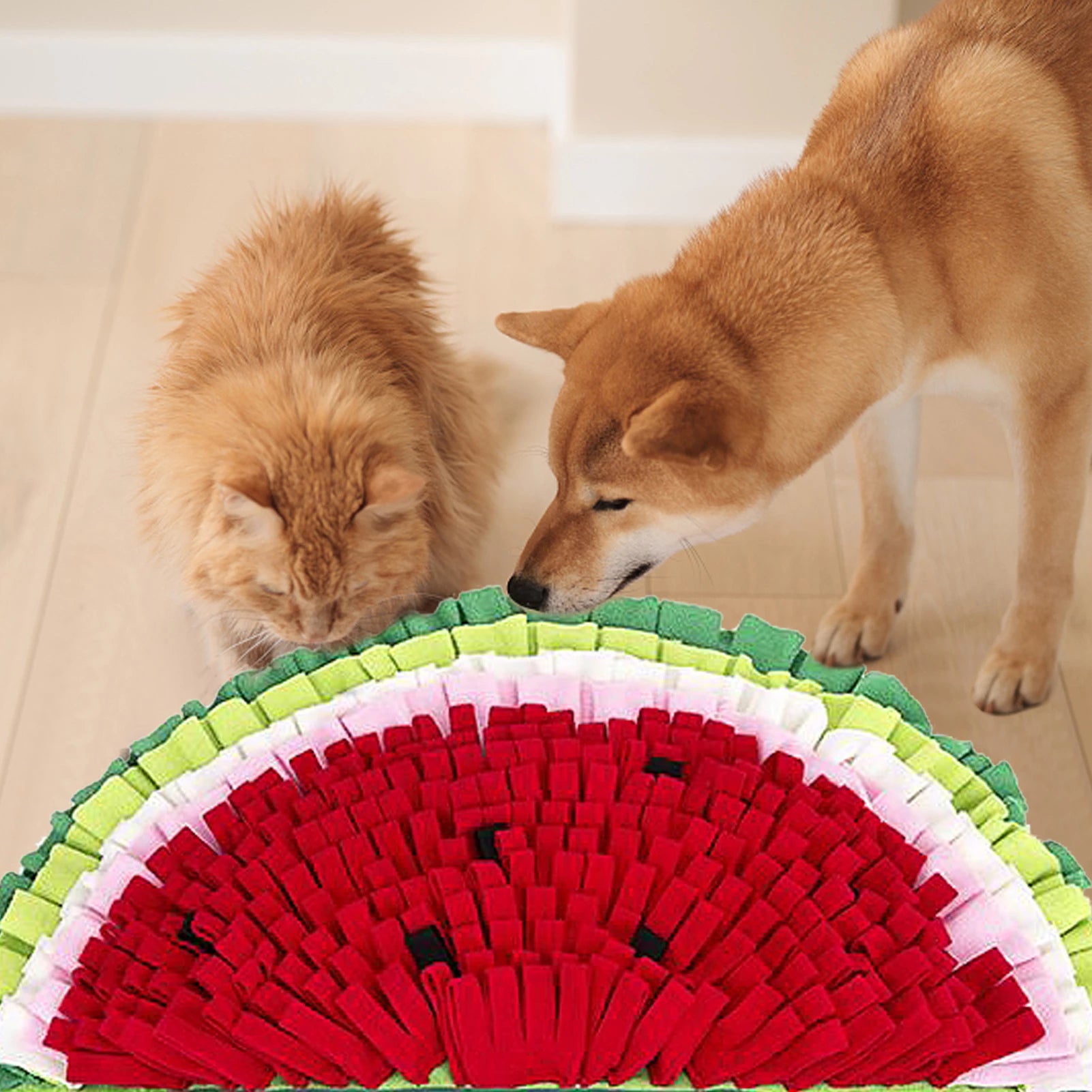 Big Watermelon Snuffle Mat Puppy Feeding Mat For Dog Pet Smell Training And Slow Eating Mat - Minihomy