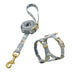 Cat And Dog Traction Rope British Short Cloth - Minihomy