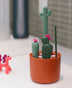 Multifunctional Nylon Cleaning Cactus Bottle Brush Set Kitchen Gadgets - Minihomy