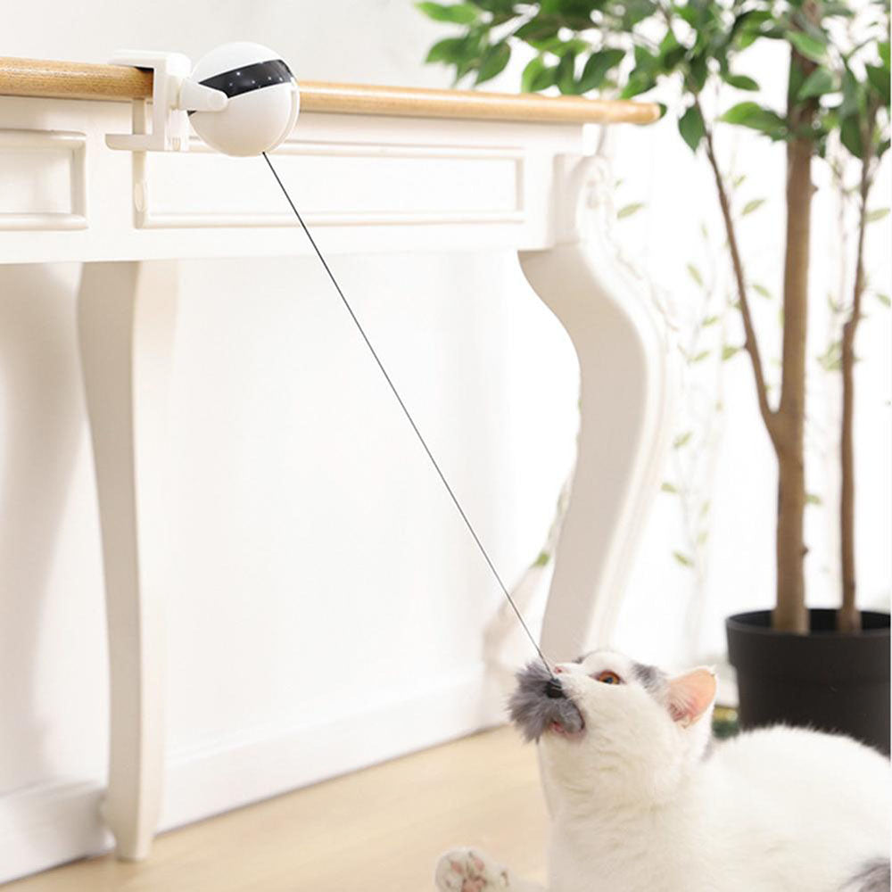 Funny Electric Cat Toy Lifting Ball Cats Teaser Toy - Minihomy